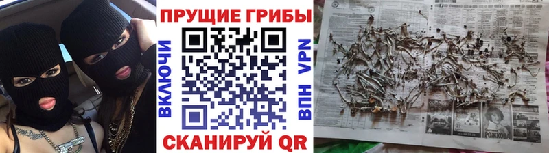 Галлюциногенные грибы Magic Shrooms  Куровское 